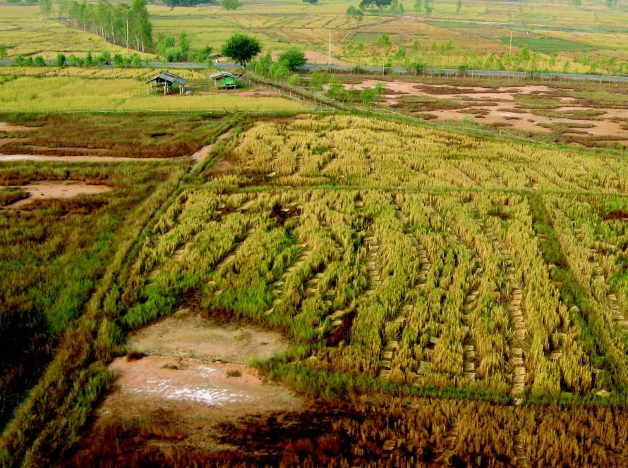 Fotografía cortesía IRD – Olivier Grunberger